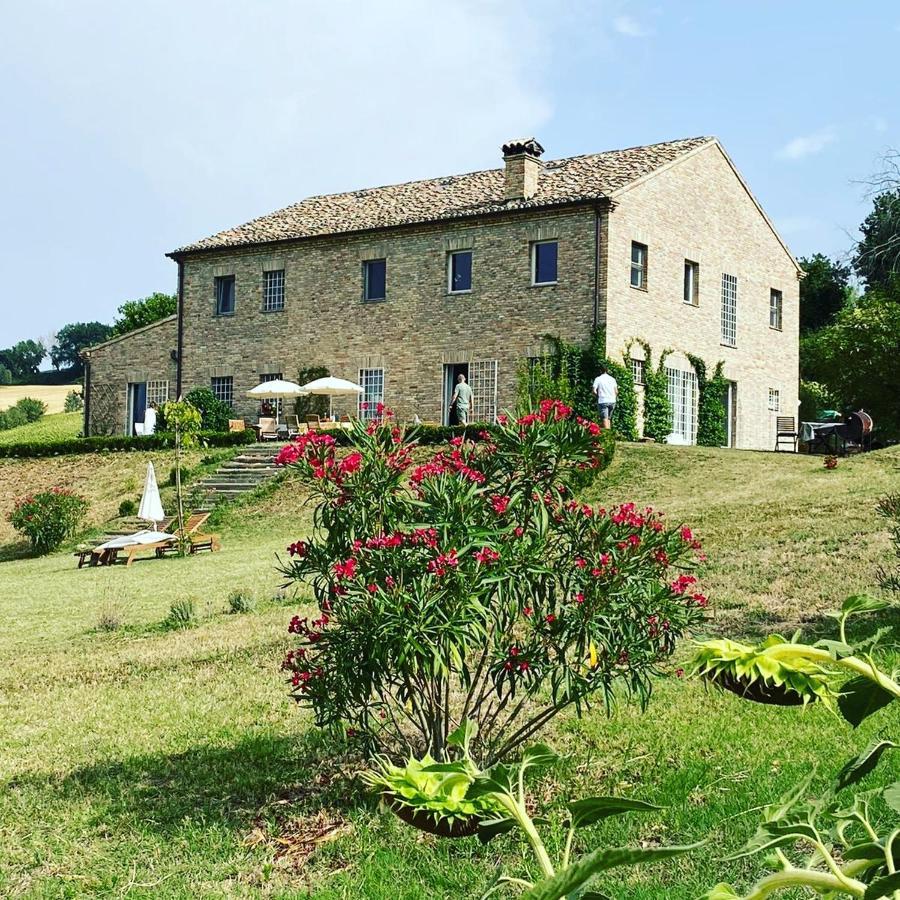 Il Giardino Nella Valle Belvedere Ostrense Ngoại thất bức ảnh