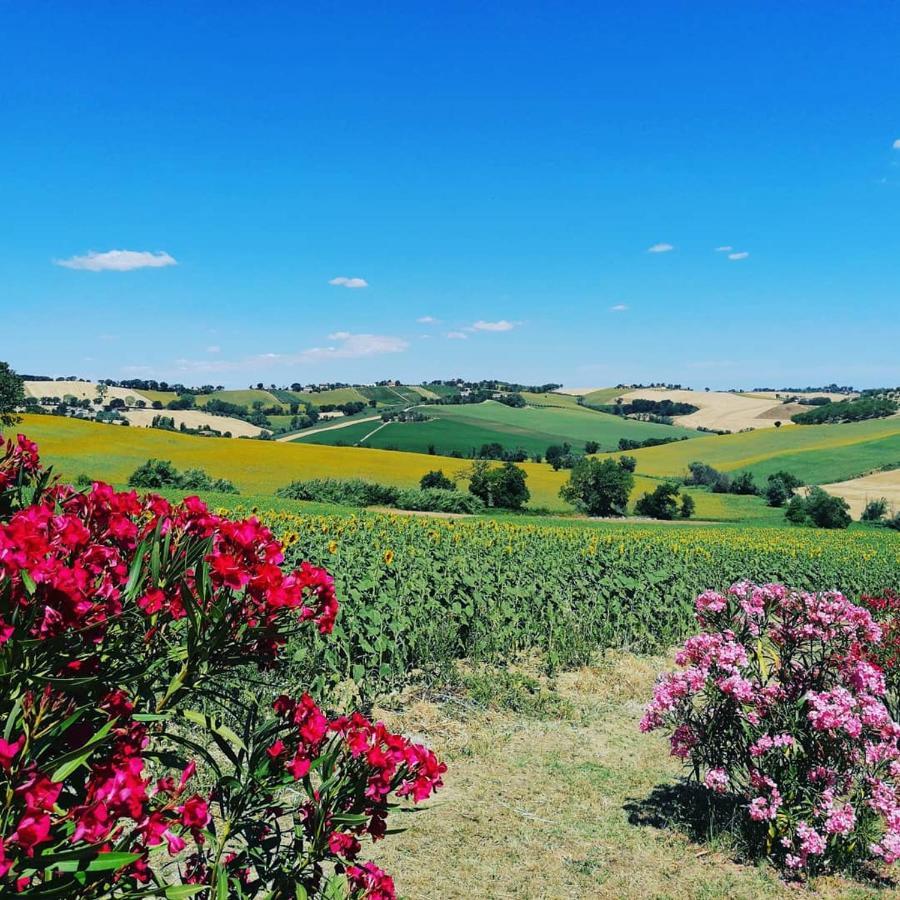 Il Giardino Nella Valle Belvedere Ostrense Ngoại thất bức ảnh