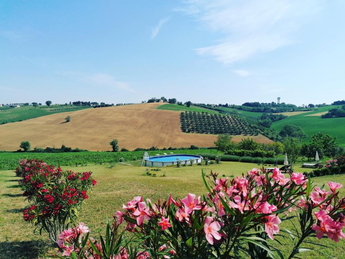 Il Giardino Nella Valle Belvedere Ostrense Ngoại thất bức ảnh