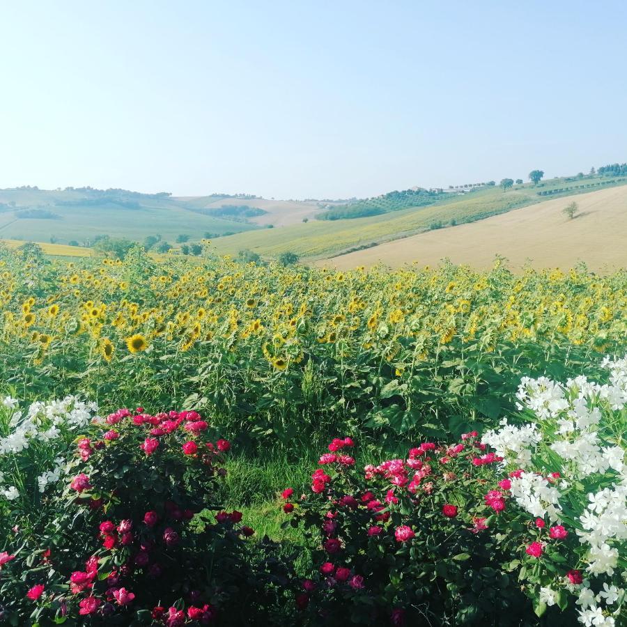 Il Giardino Nella Valle Belvedere Ostrense Ngoại thất bức ảnh