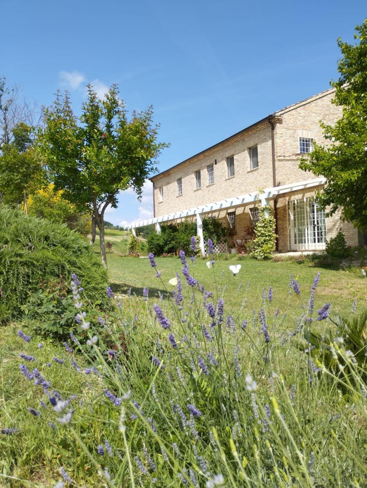 Il Giardino Nella Valle Belvedere Ostrense Phòng bức ảnh