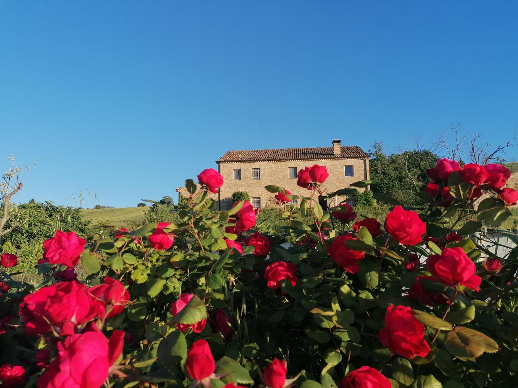 Il Giardino Nella Valle Belvedere Ostrense Ngoại thất bức ảnh