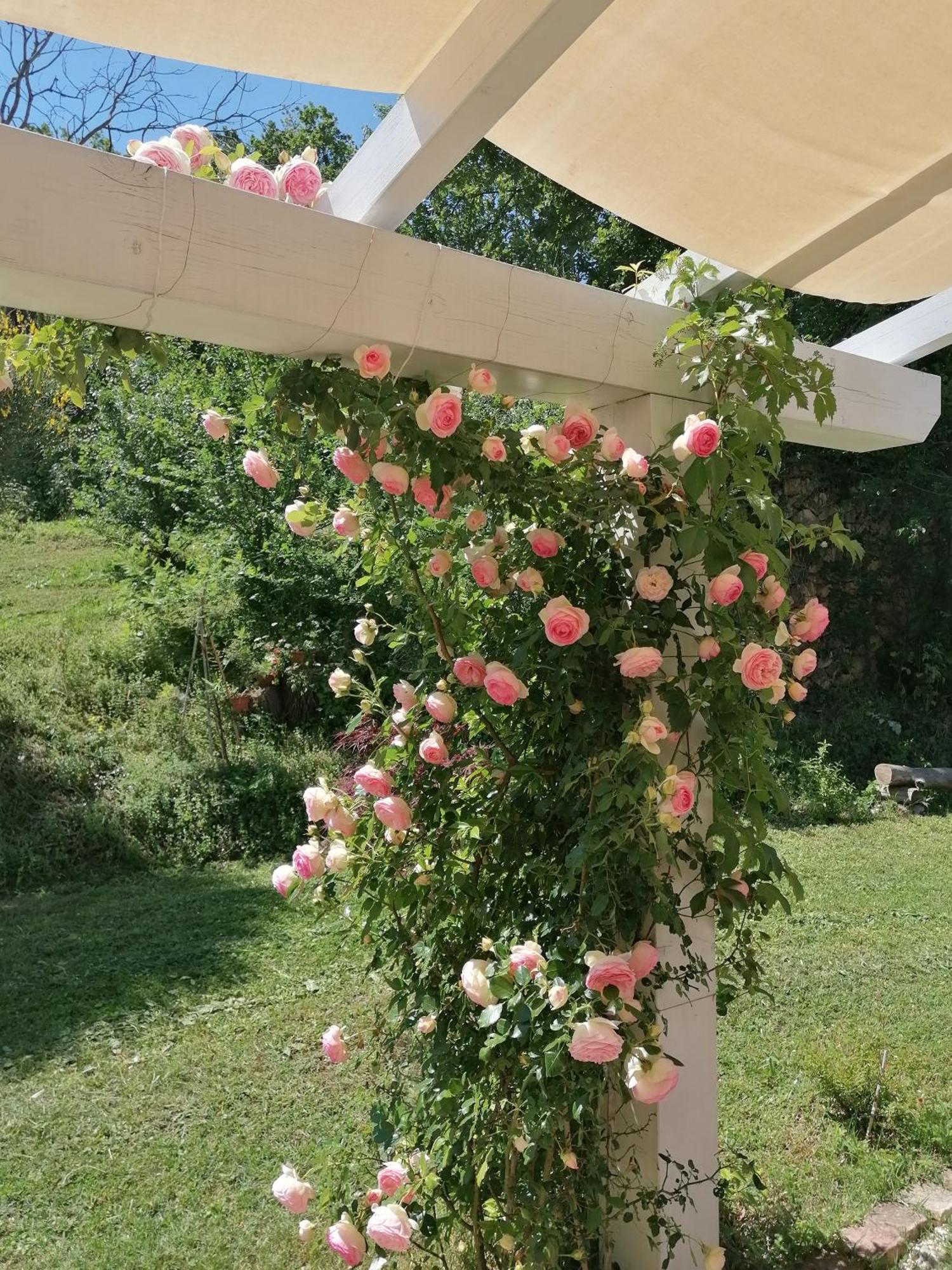 Il Giardino Nella Valle Belvedere Ostrense Ngoại thất bức ảnh