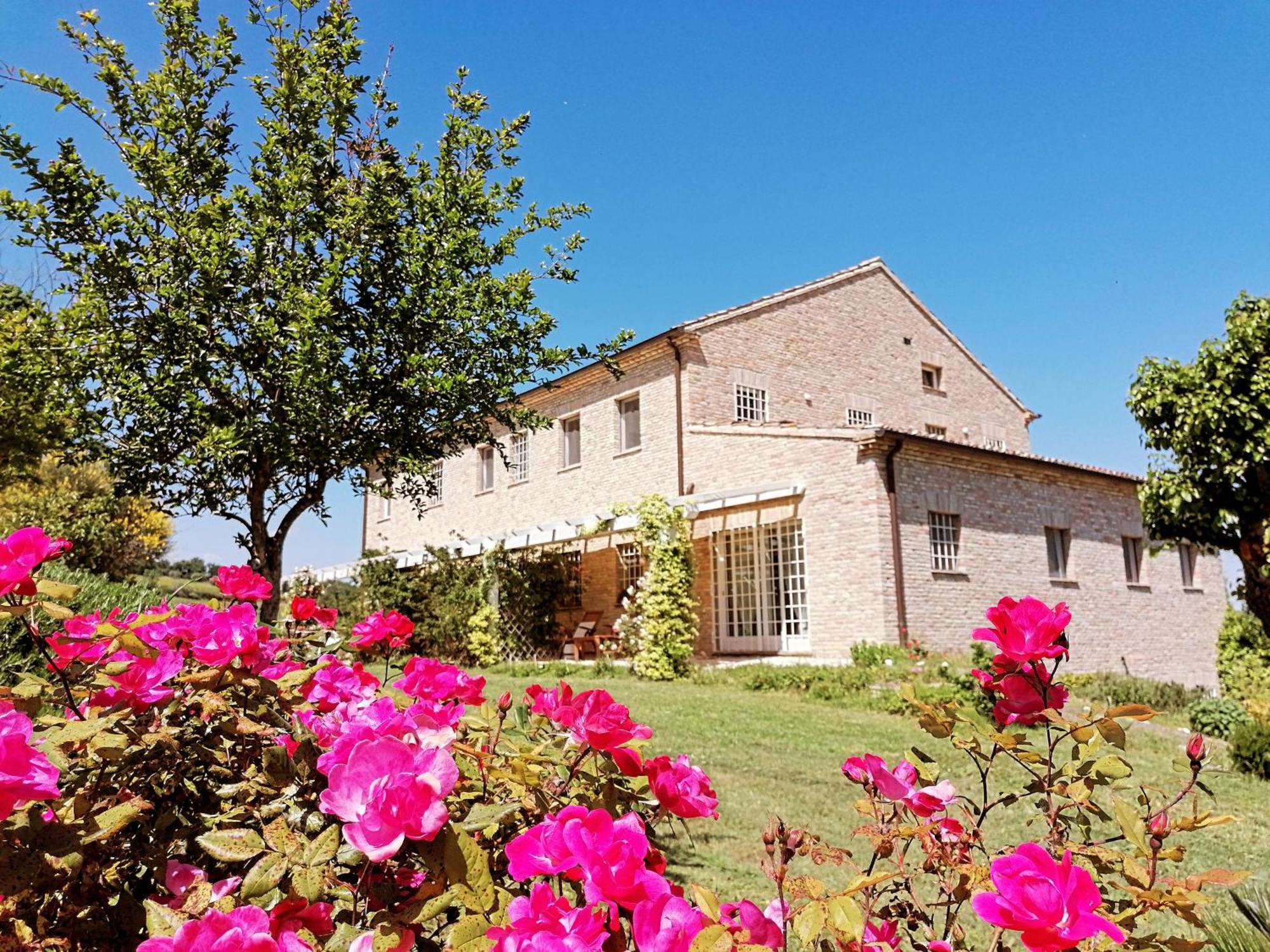 Il Giardino Nella Valle Belvedere Ostrense Ngoại thất bức ảnh