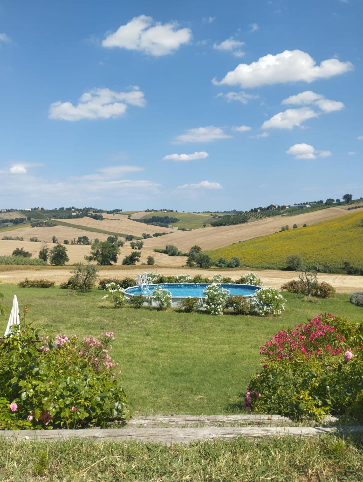 Il Giardino Nella Valle Belvedere Ostrense Ngoại thất bức ảnh